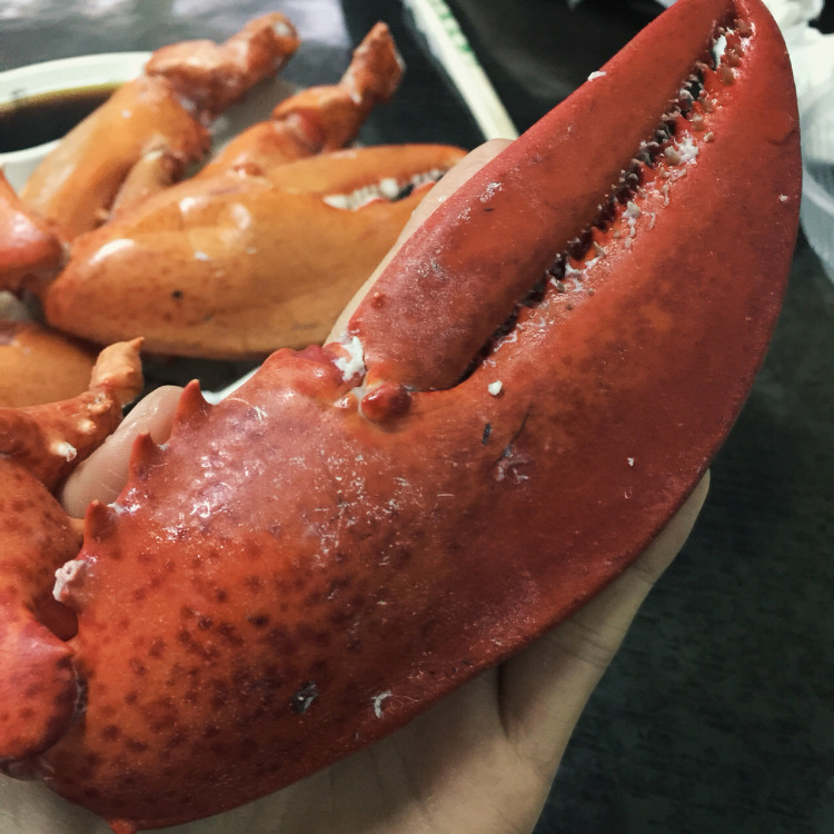 美女直播吃"龙虾钳",一个动作引人注目,网友:全是"套路"